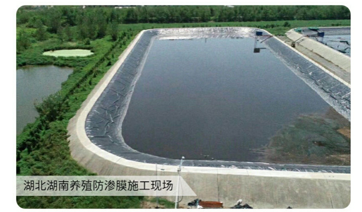 企业微信截图_17581771889536.png