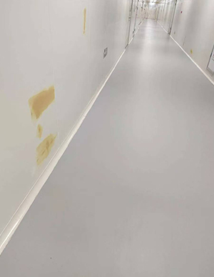 1773642167992740.jpg 16.jpg