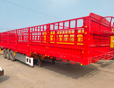 1774428635615407.jpg 9.jpg